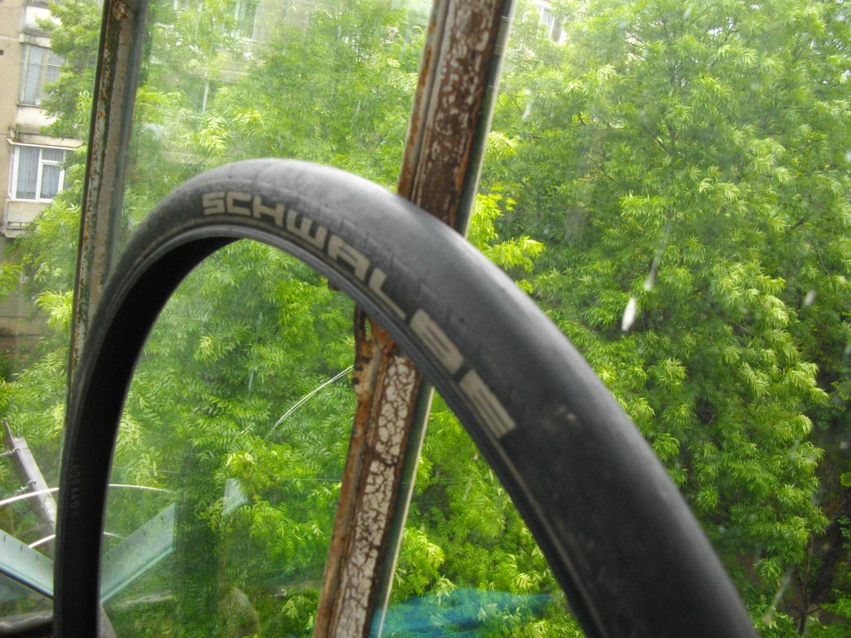 1. Un Schwalbe Kojak 1,35
