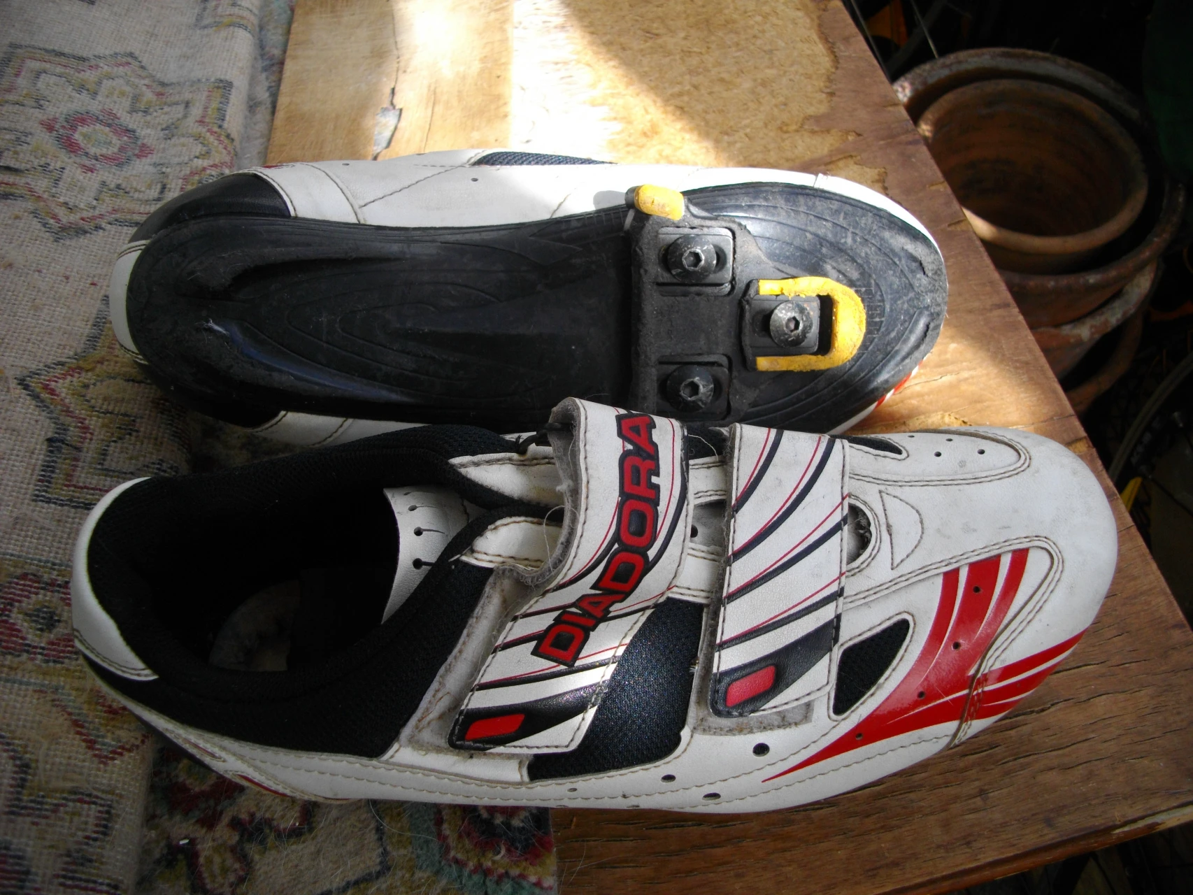 1. Diadora, pt. cursiera