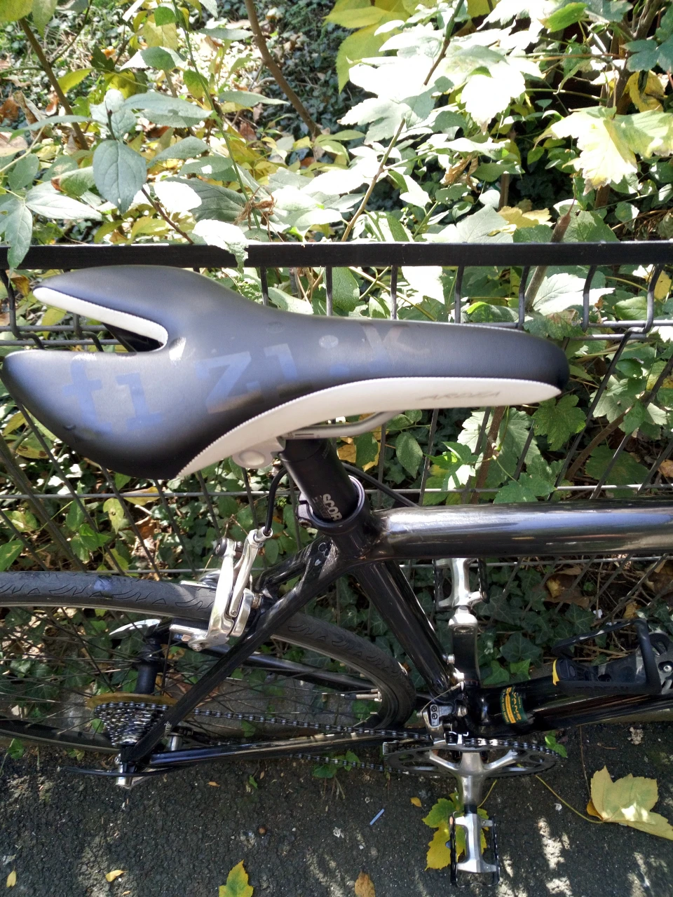 1. Pinnacle cursiera carbon