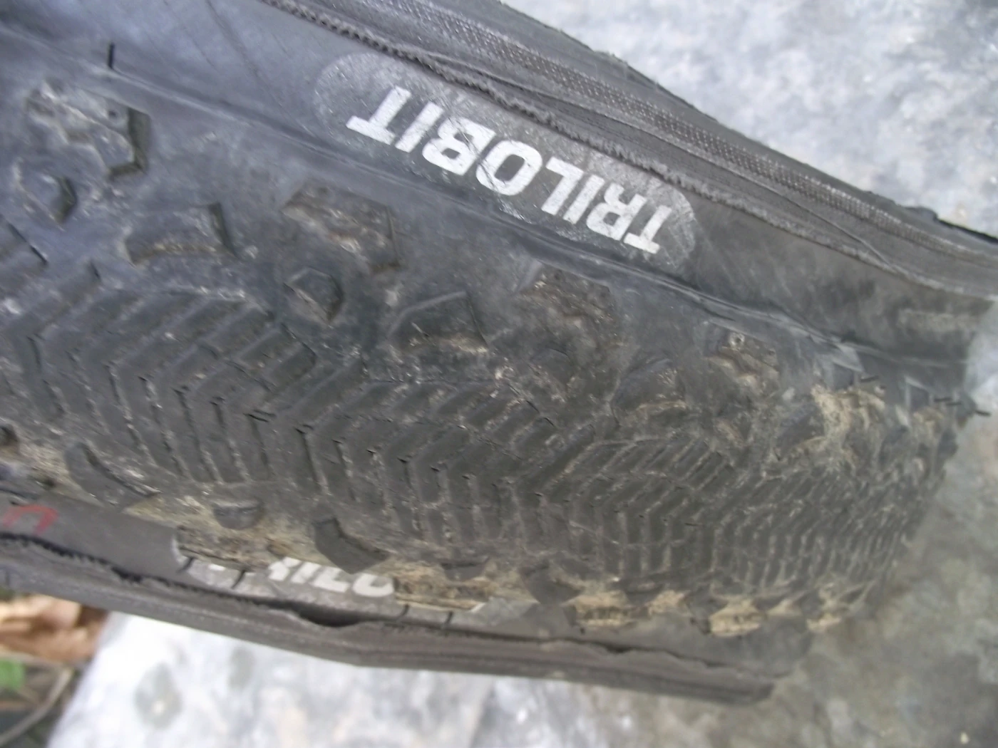 1. Doua Rubena trilobit racing pro, 26x1,9