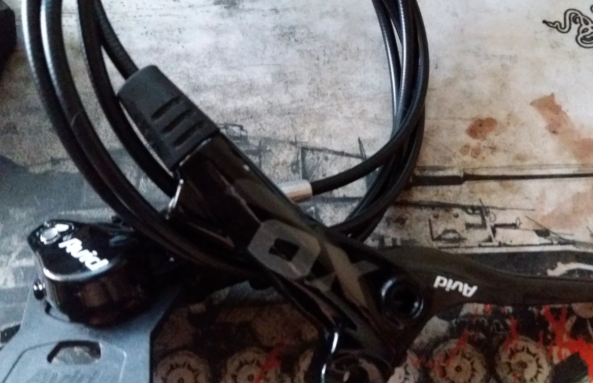 1. Frana Avid X0 fata