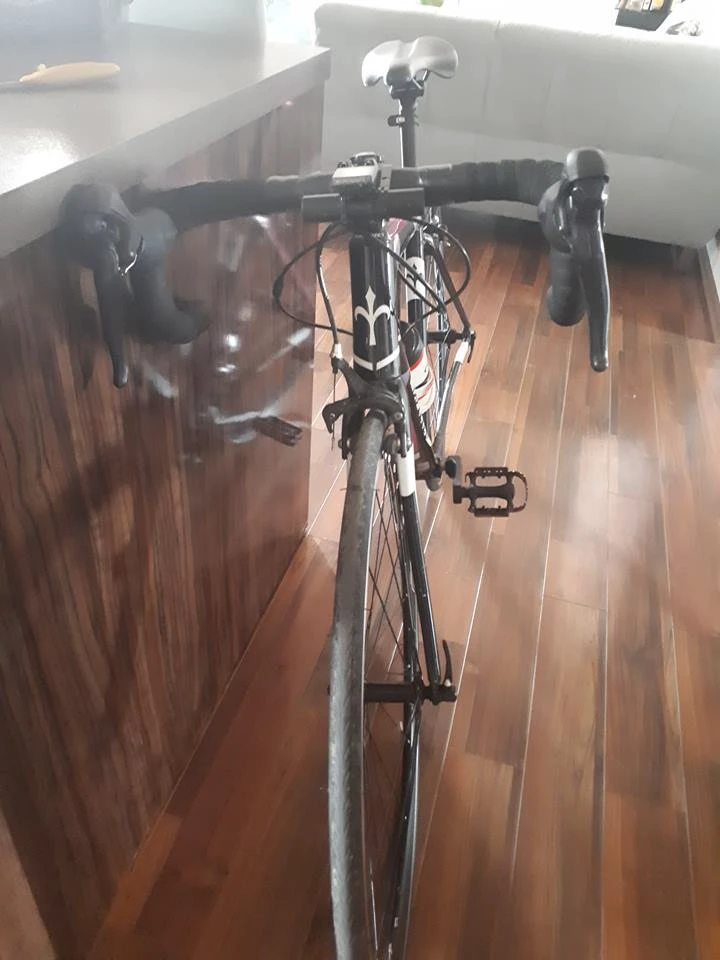 1. Vand Cursiera Wilier Luna