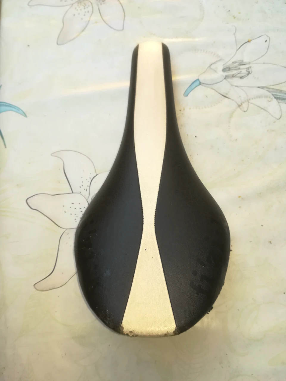1. Sea Fizik Arione