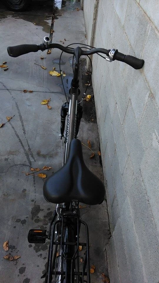 1. CityBike Kreidler Rs7