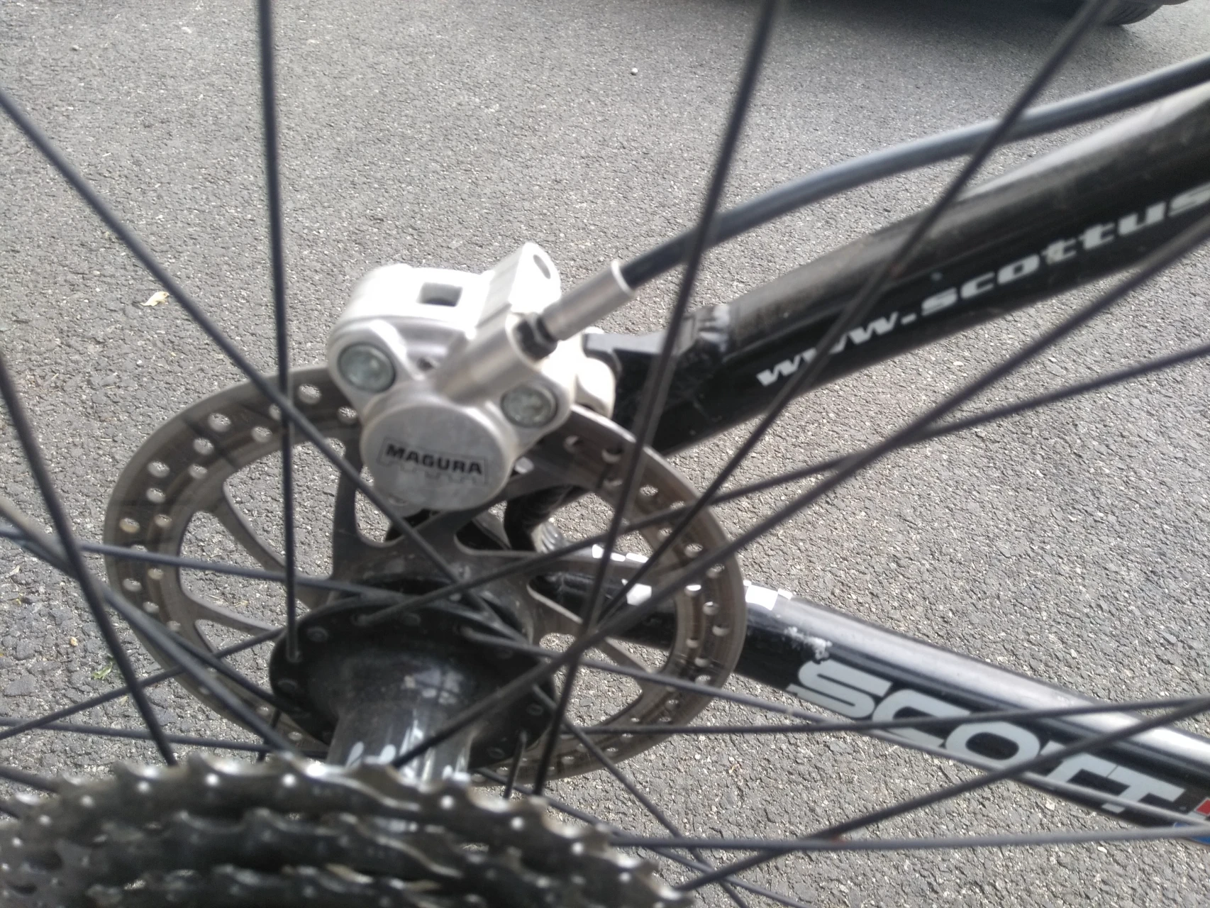 2. MTB Scott