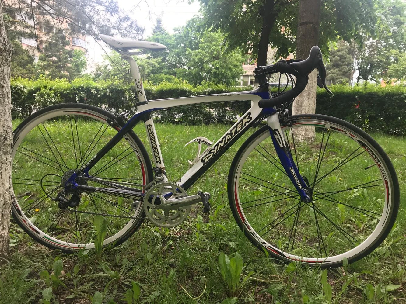 8. Cursiera Carbon Dynatek Sintagma