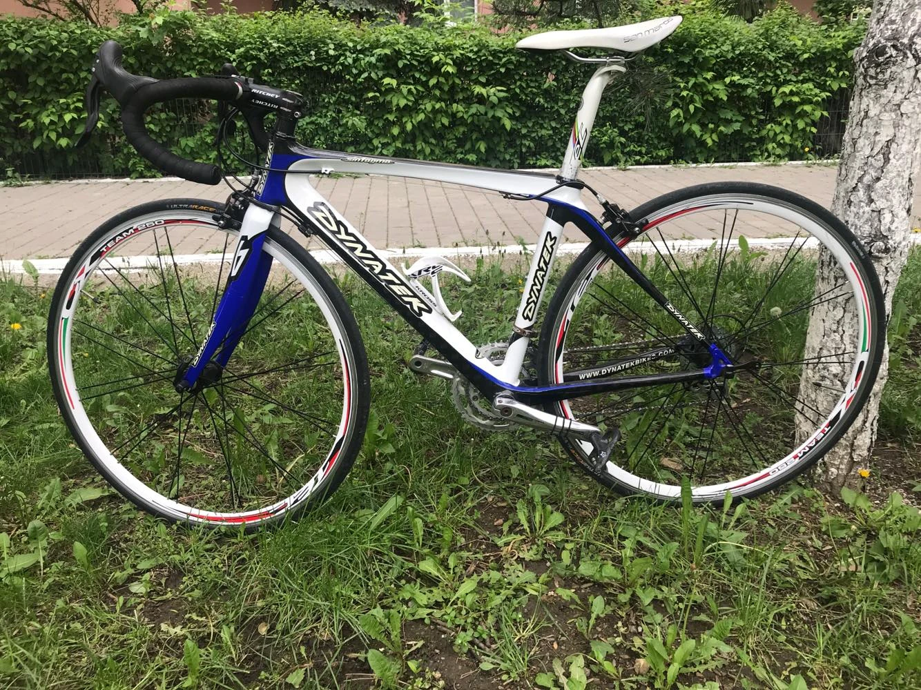 7. Cursiera Carbon Dynatek Sintagma
