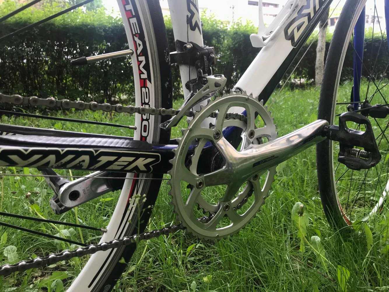 4. Cursiera Carbon Dynatek Sintagma