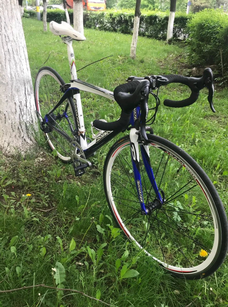 2. Cursiera Carbon Dynatek Sintagma