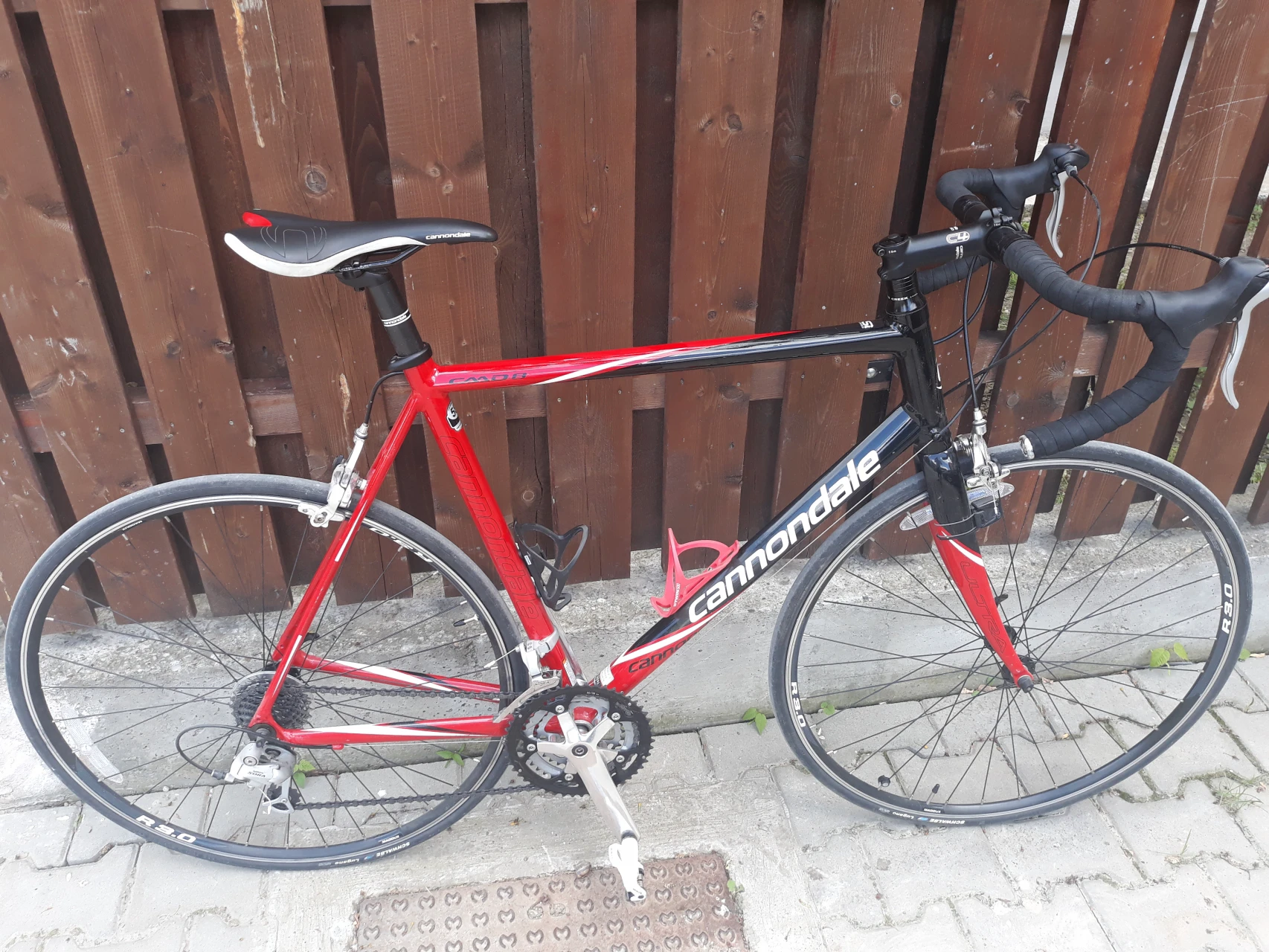 6. Cursiera Cannondale