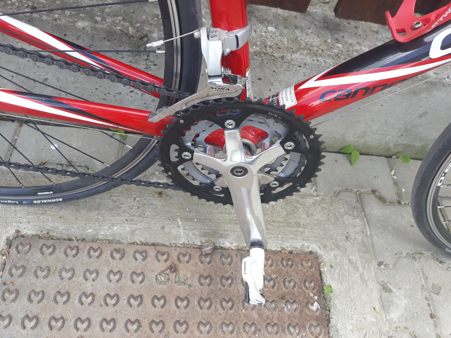 1. Cursiera Cannondale