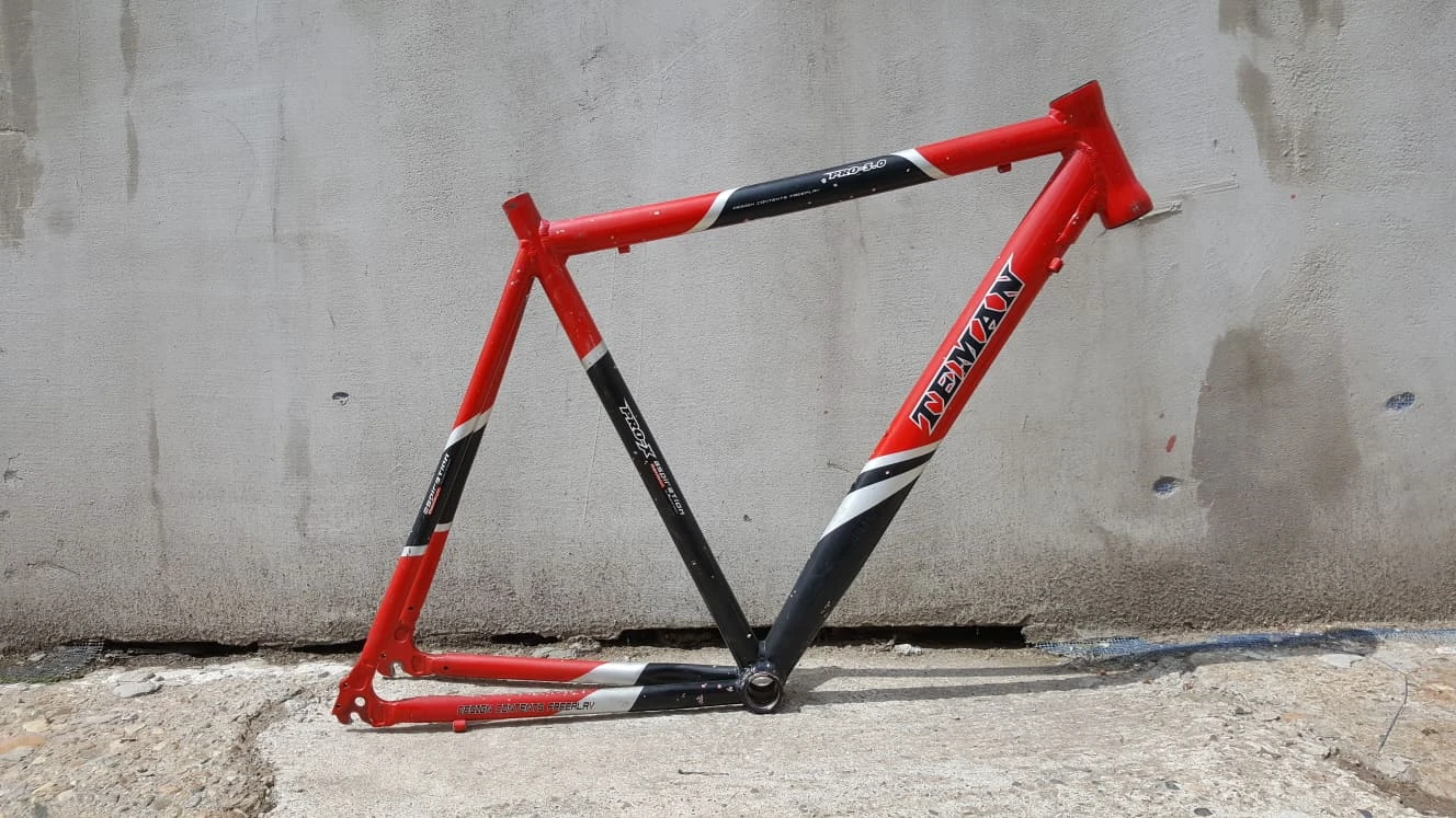 10. Cadru Pro-X TEMAN