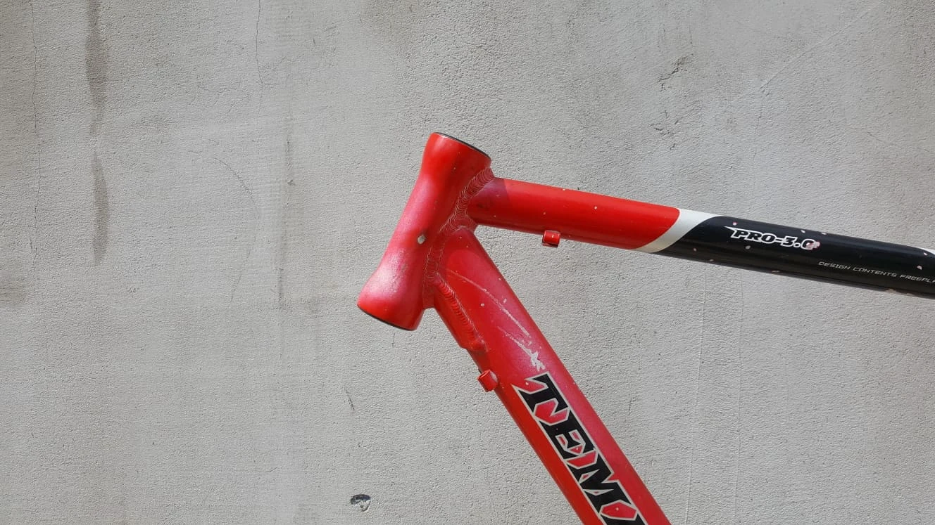 5. Cadru Pro-X TEMAN
