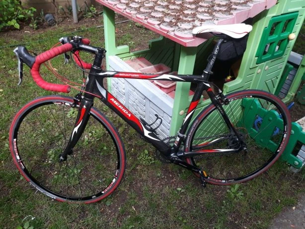 8. Cursiera merida scultura carbon