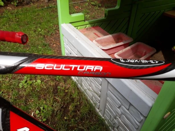 3. Cursiera merida scultura carbon