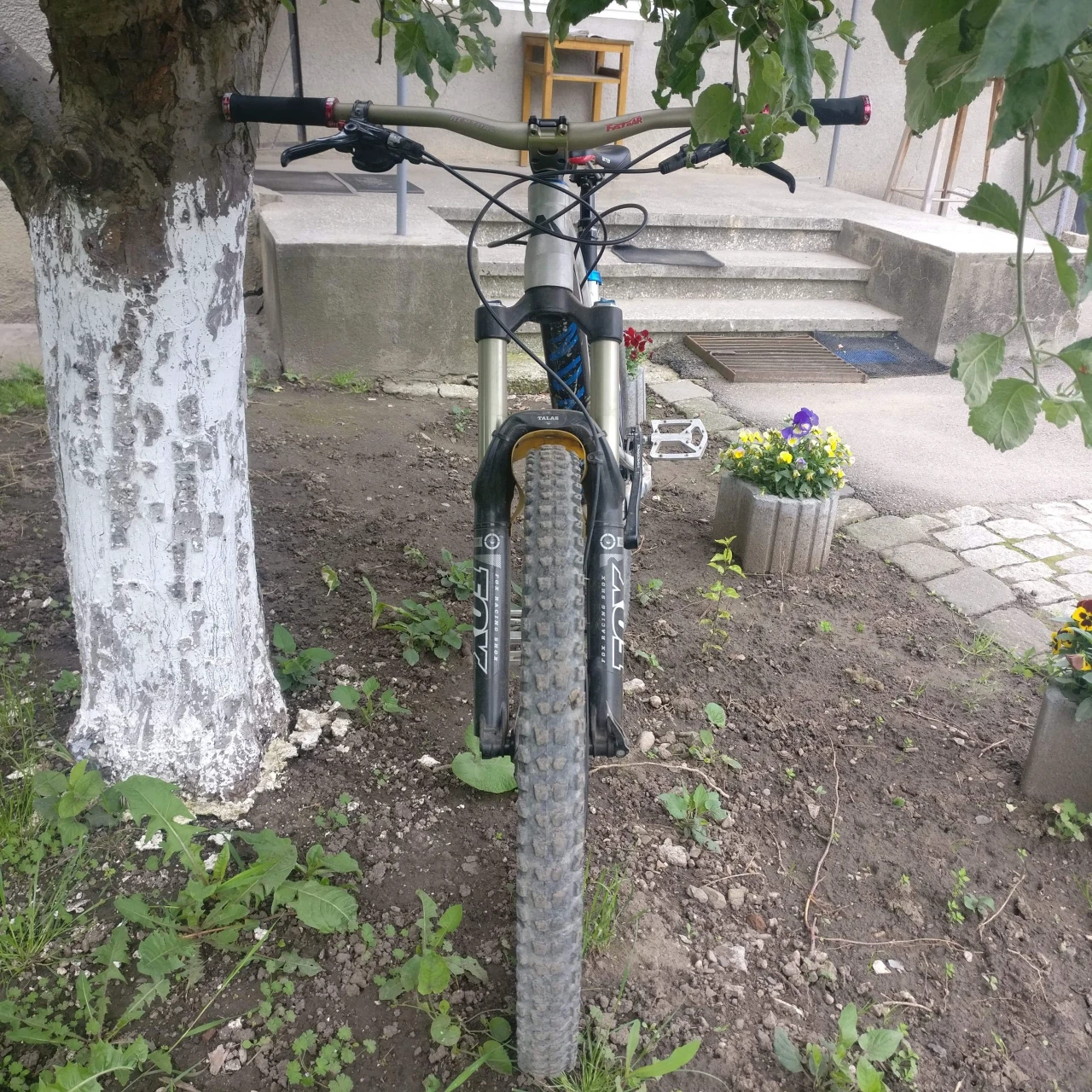 1. Bicicleta