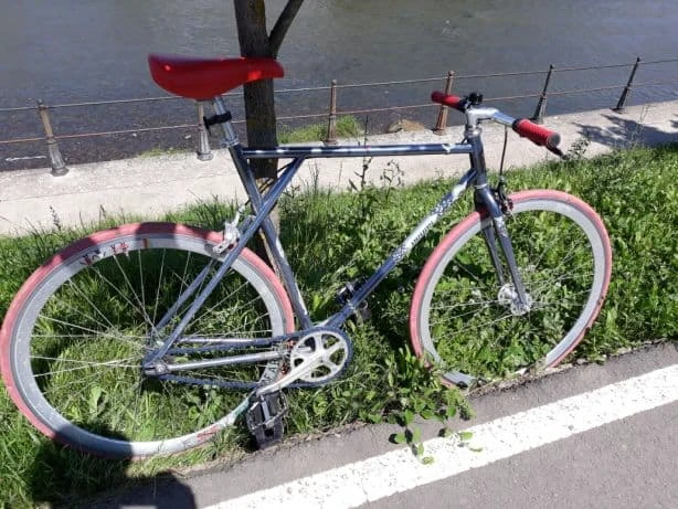1. Singlespeed(freewheel) Pegas oras