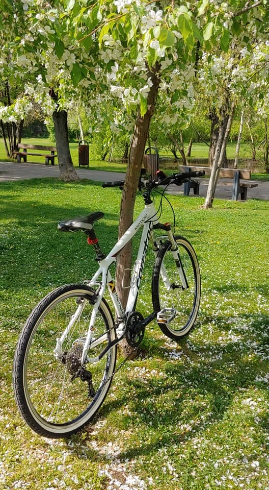 3. Bicicleta Corratec Motion 2012