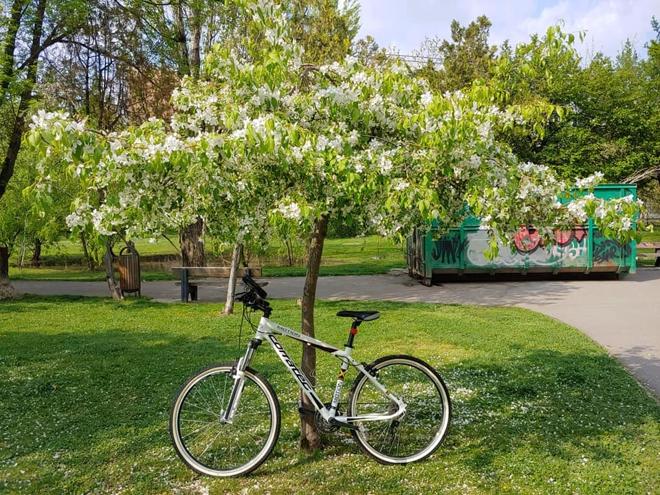 2. Bicicleta Corratec Motion 2012