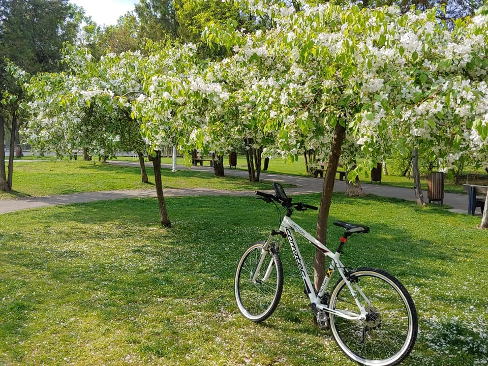 1. Bicicleta Corratec Motion 2012