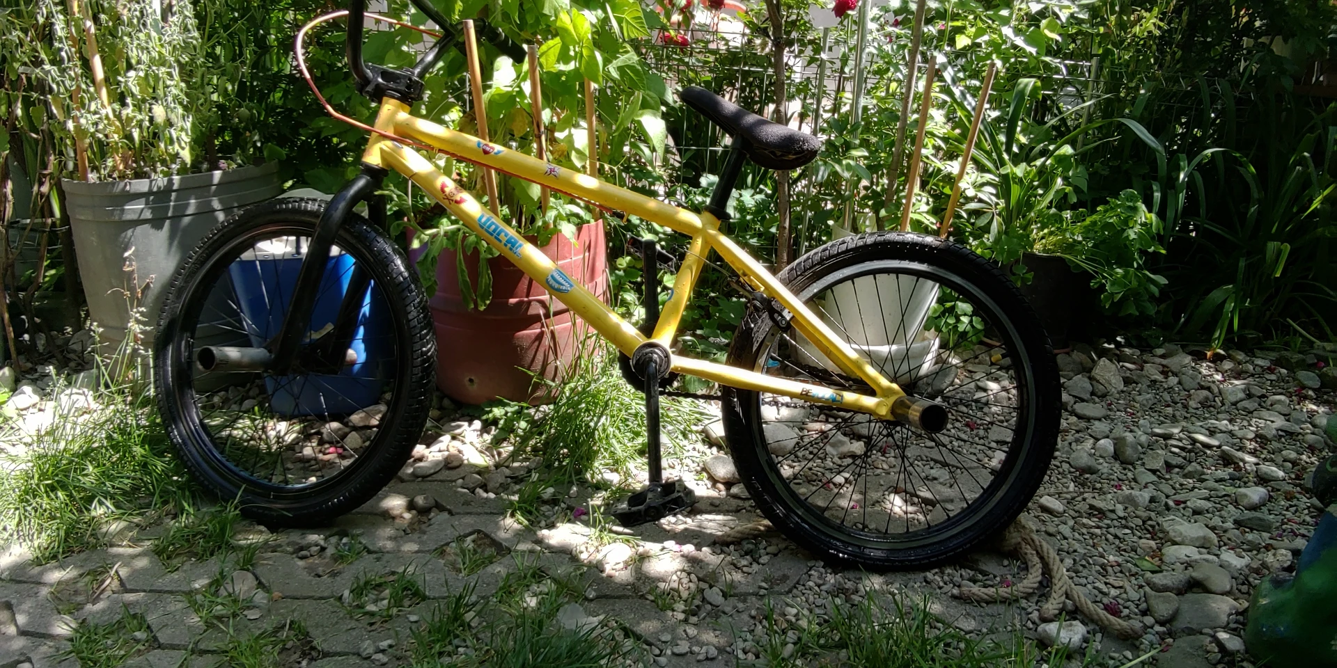 5. Bmx