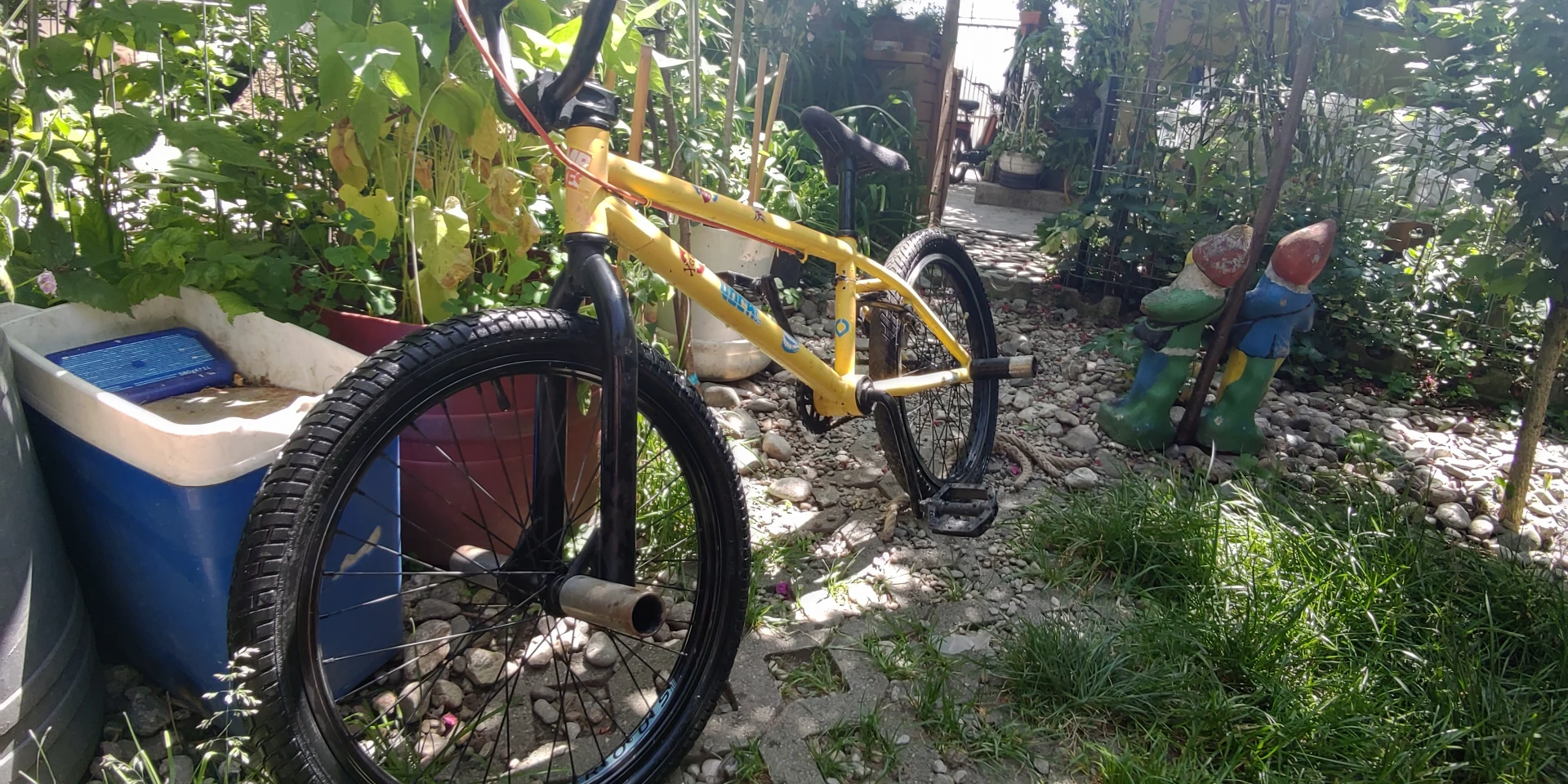 1. Bmx
