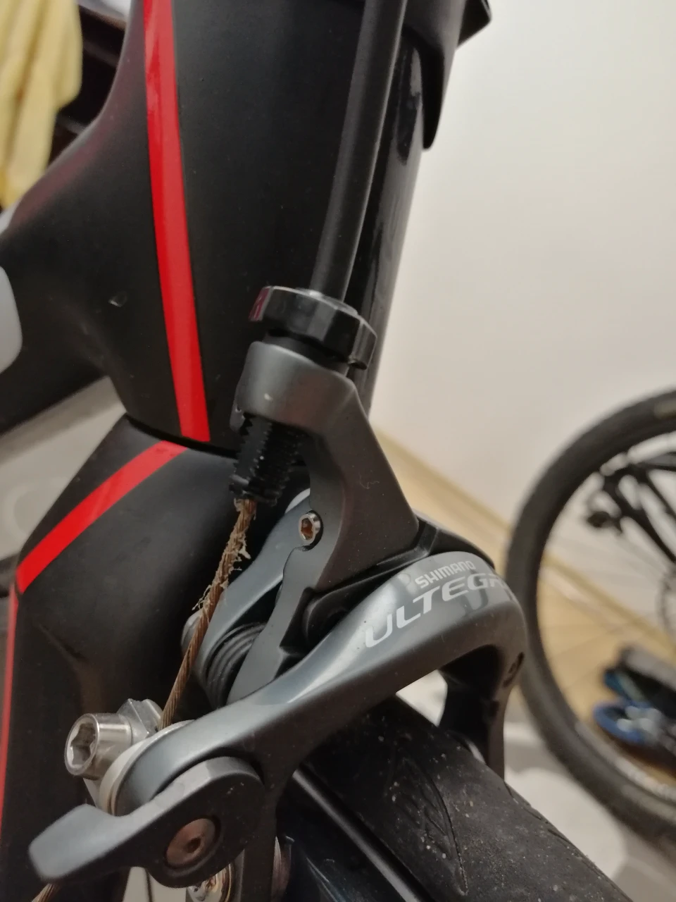 6. Cadru carbon focus