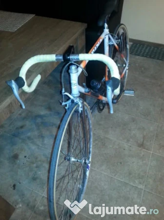 3. Bicicleta cursiera