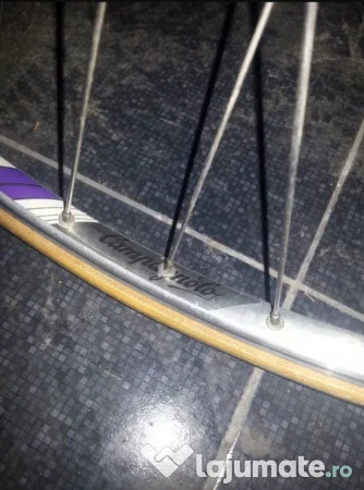 2. Bicicleta cursiera