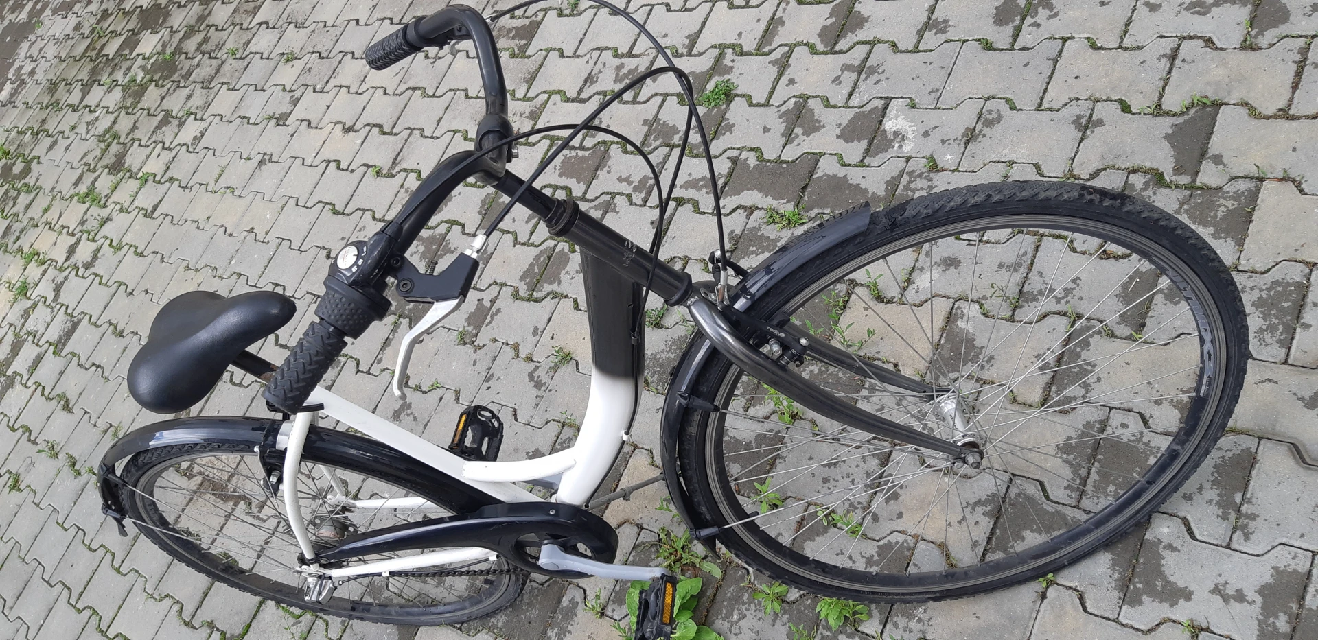 5. Bicicleta dama