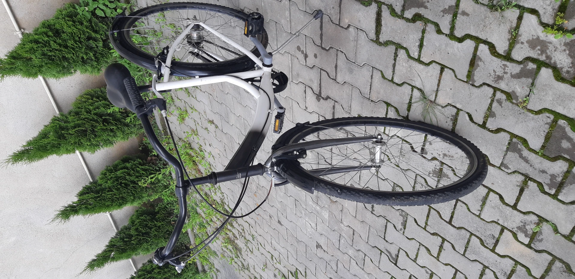 3. Bicicleta dama