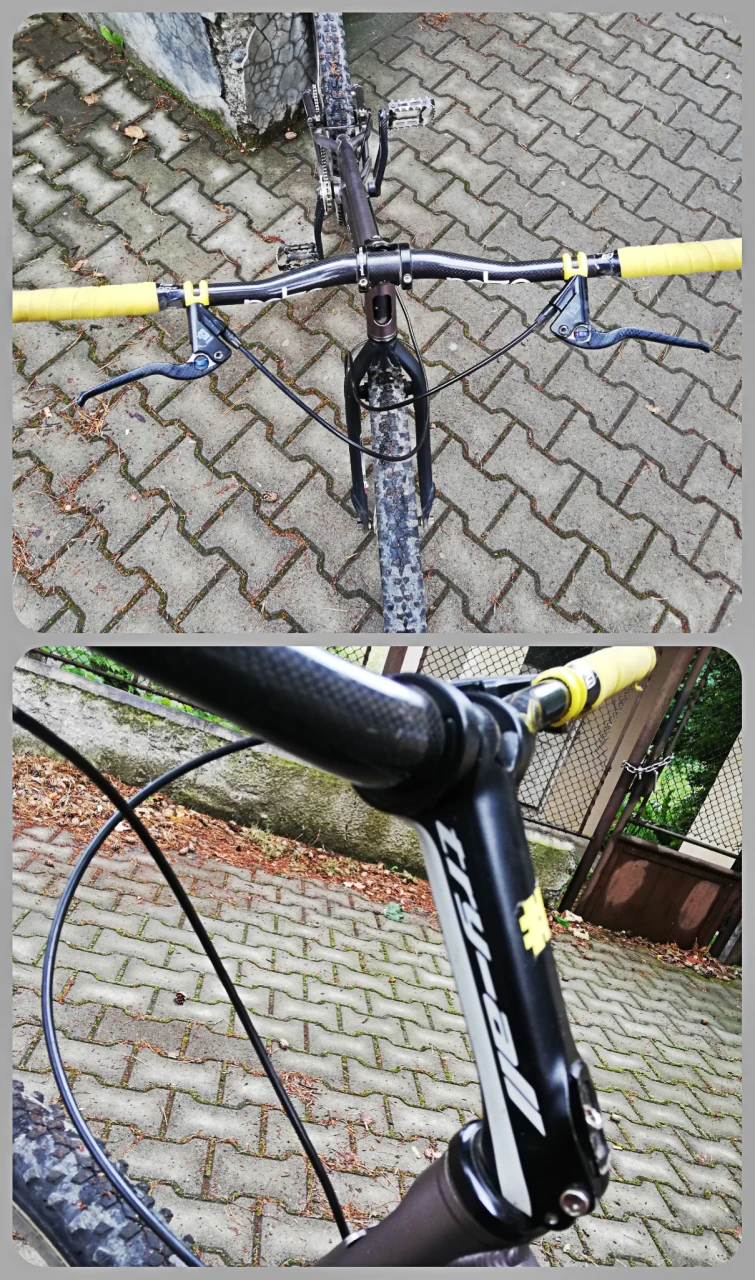 2. Bicicleta trial Echo Pure