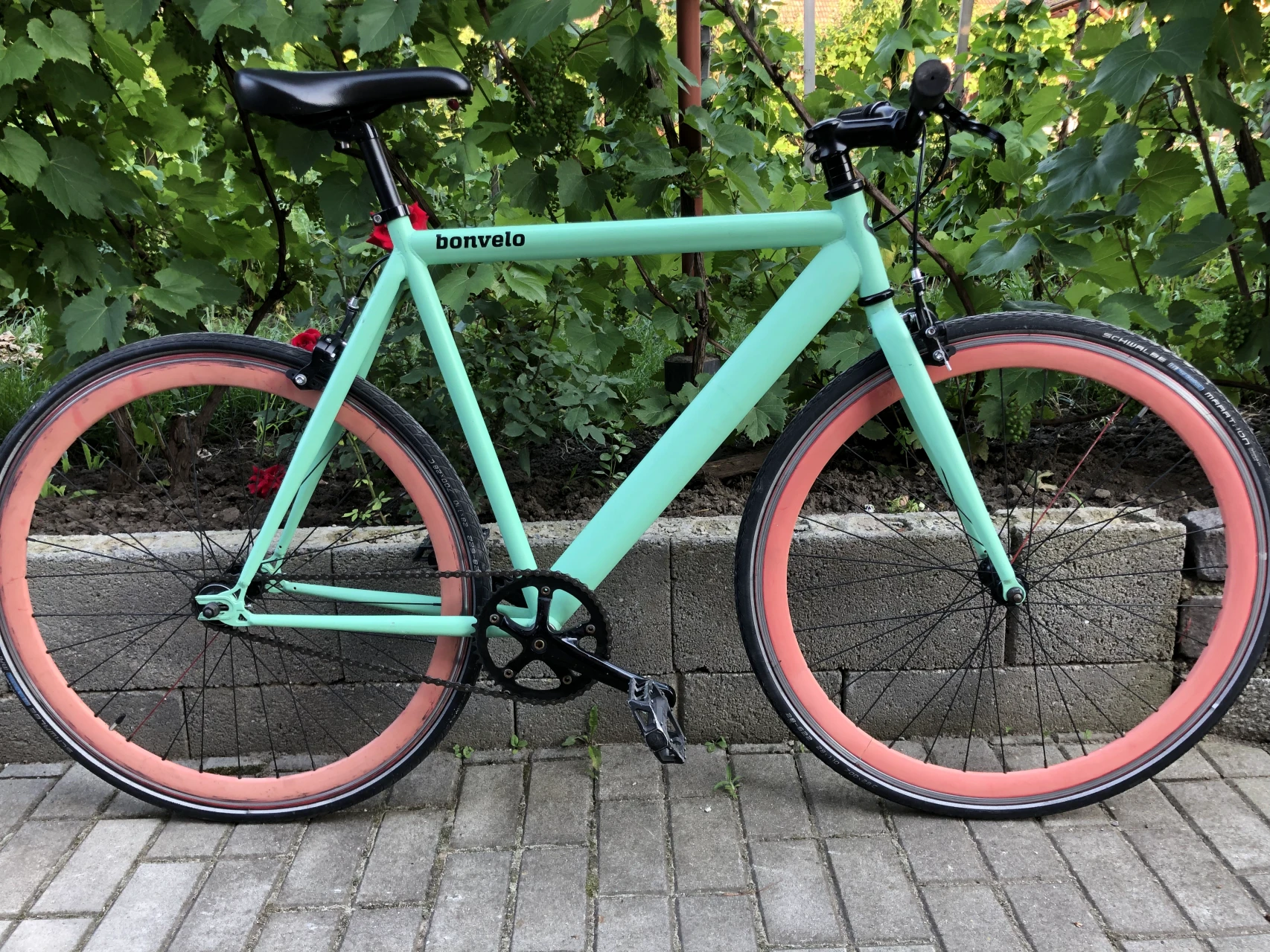 3. Singlespeed Bonvelo