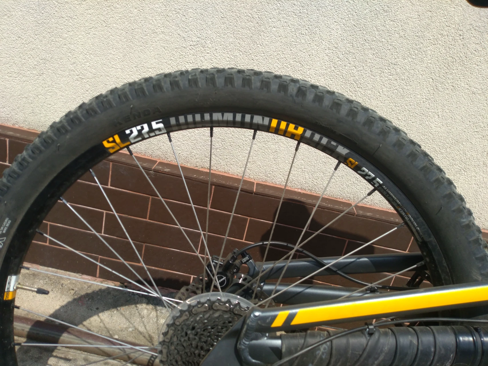 5. MTB DiamondBack