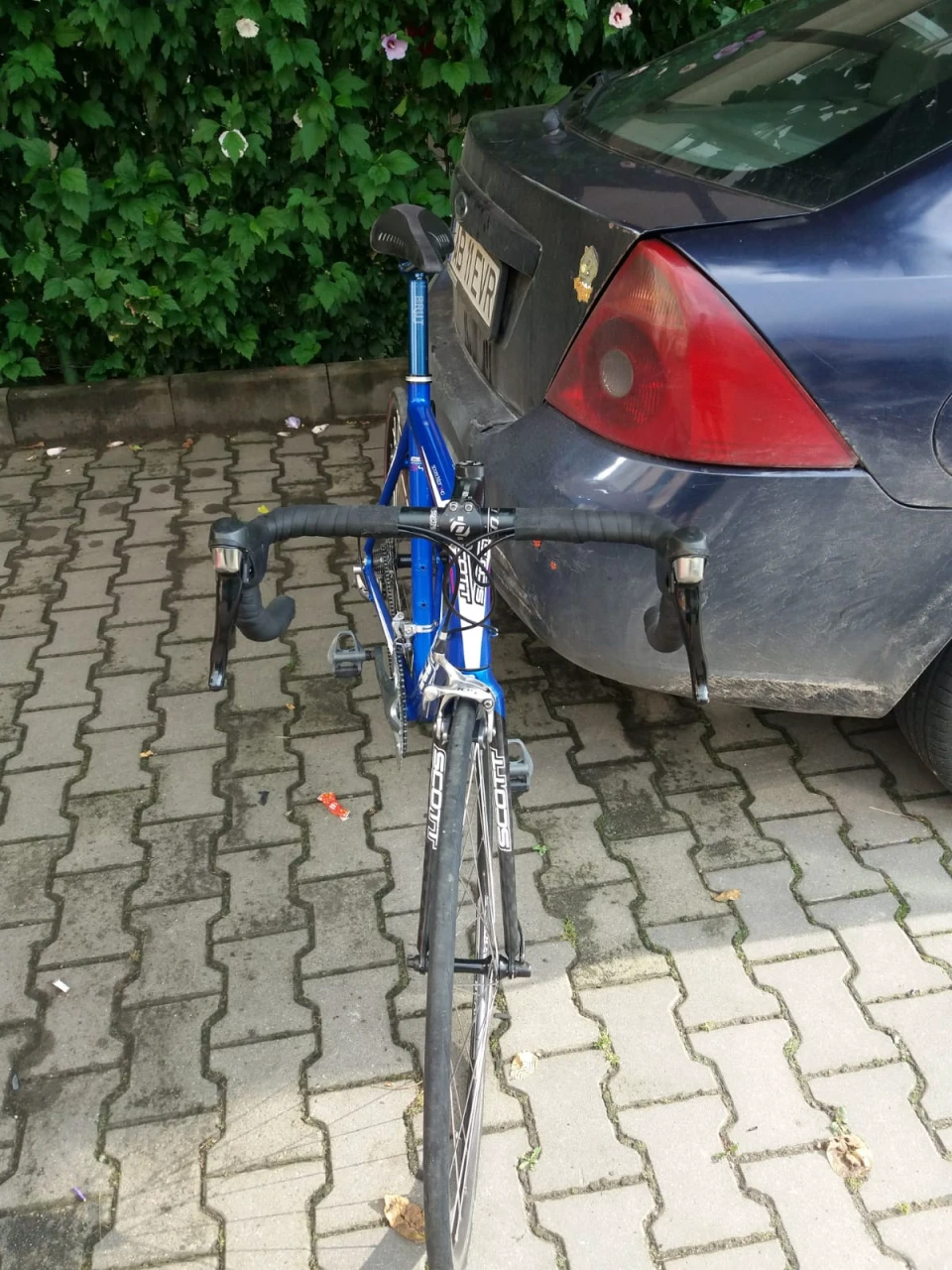 3. Vand Cursiera Scott Speedster S40