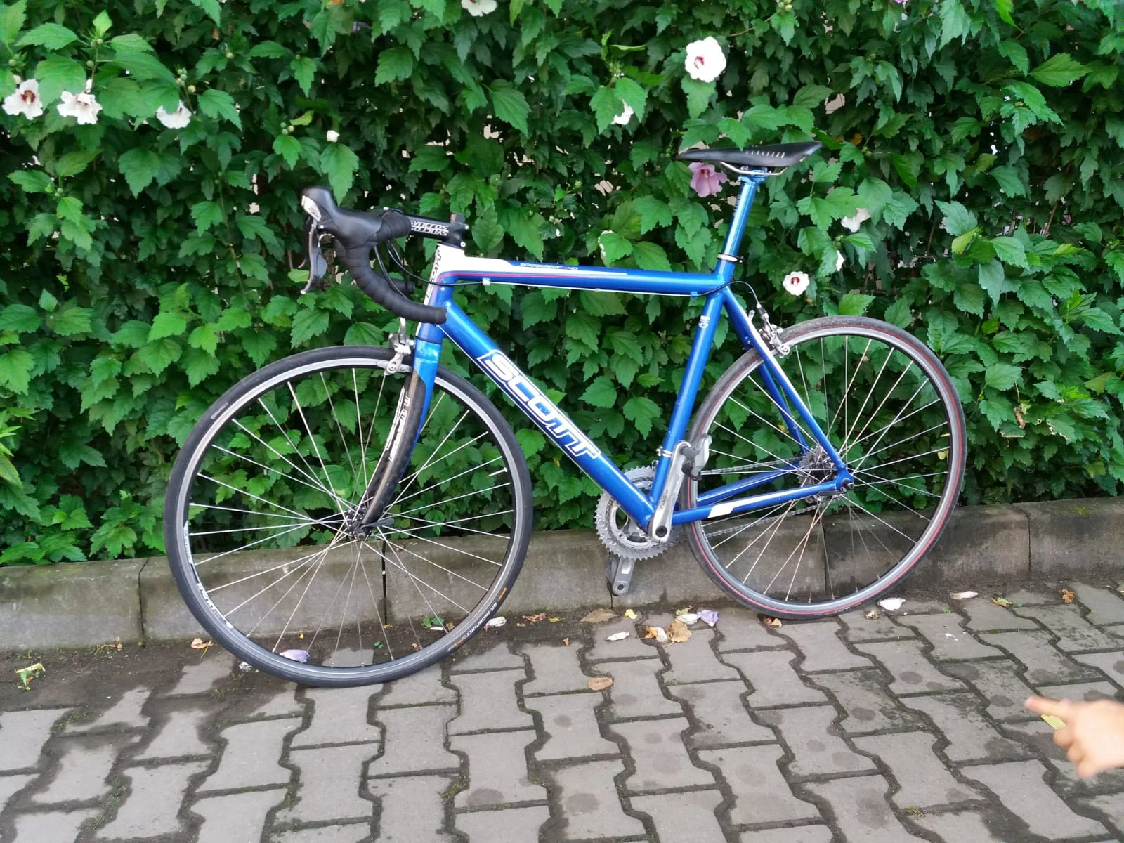1. Vand Cursiera Scott Speedster S40