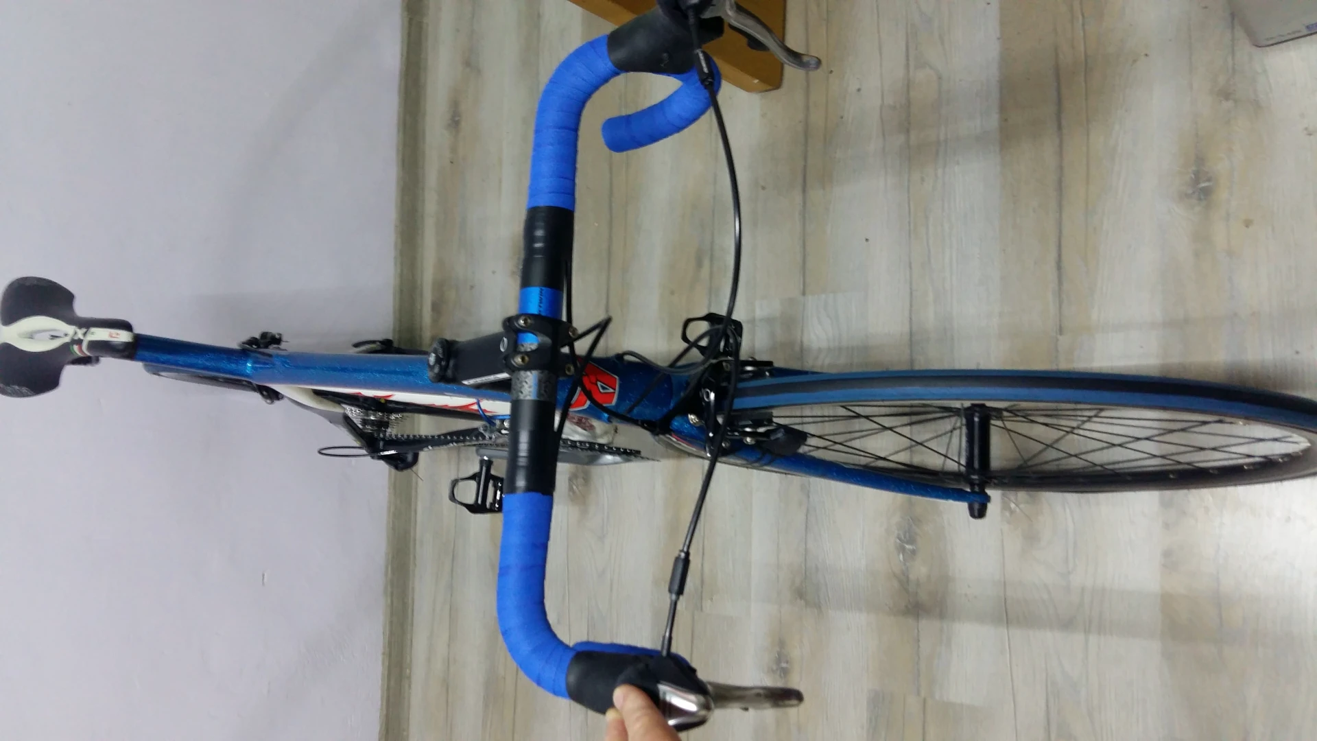 6. Cursiera carbon