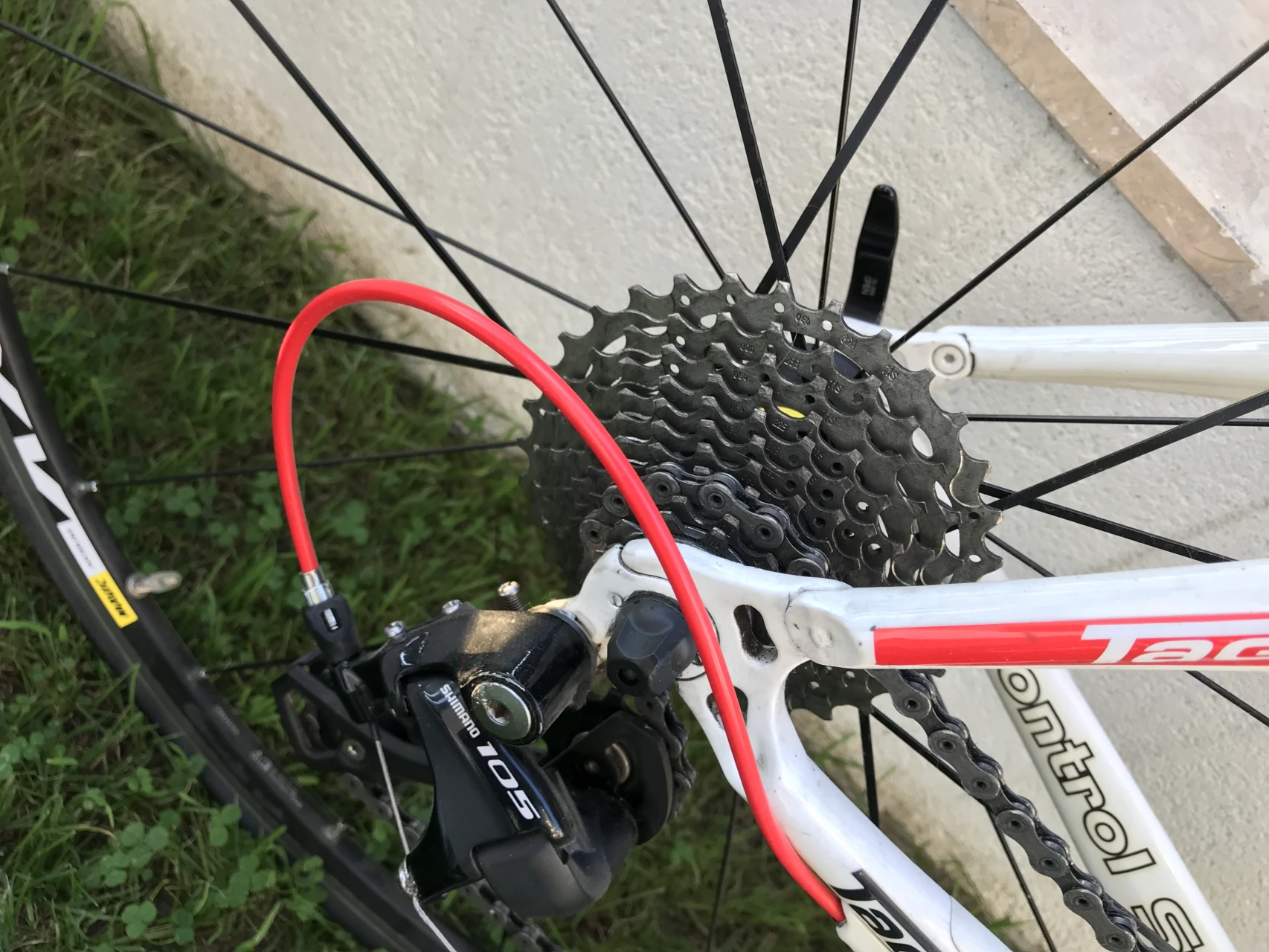 1. Cursiera carbon Tagliaro 52 cm
