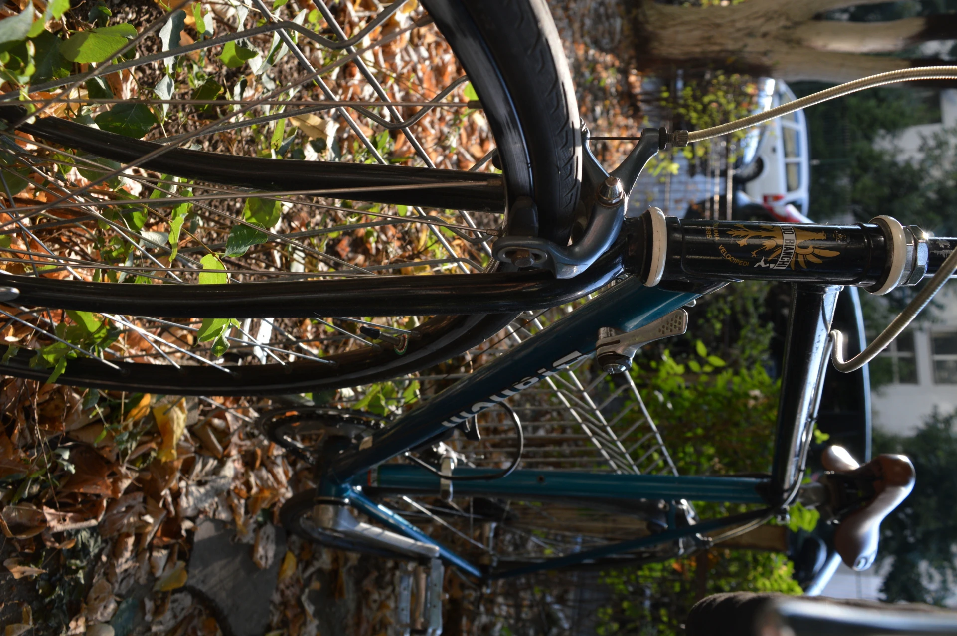 6. Cursiera Bianchi 840 Premio
