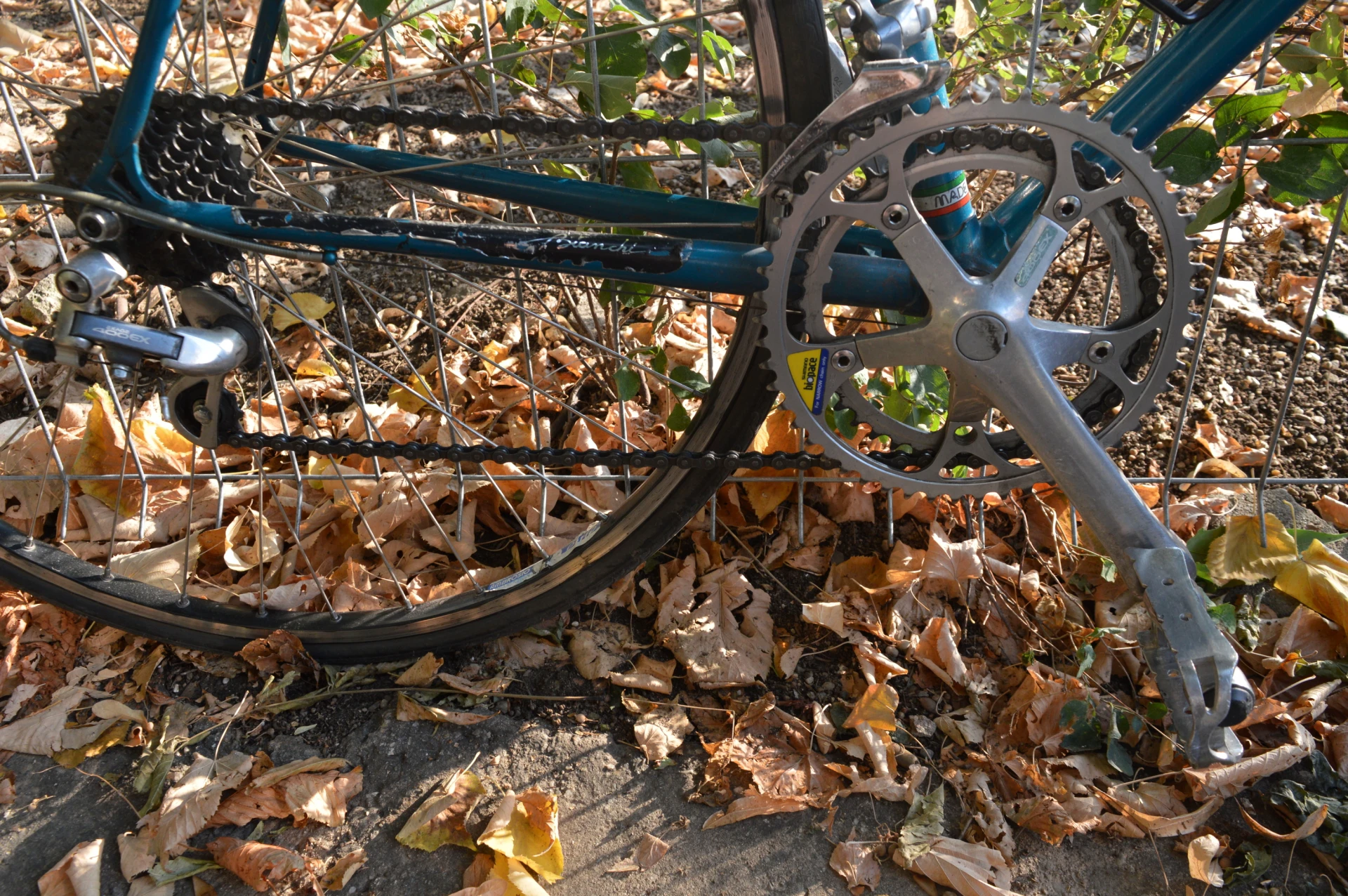 4. Cursiera Bianchi 840 Premio