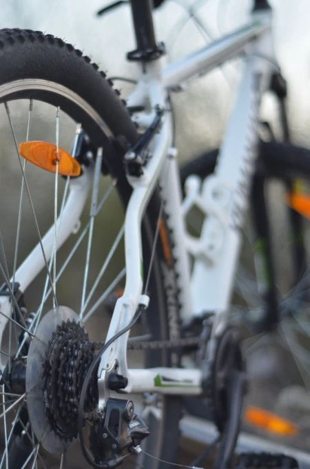 1. Bicicleta Kilimanjaro 29"