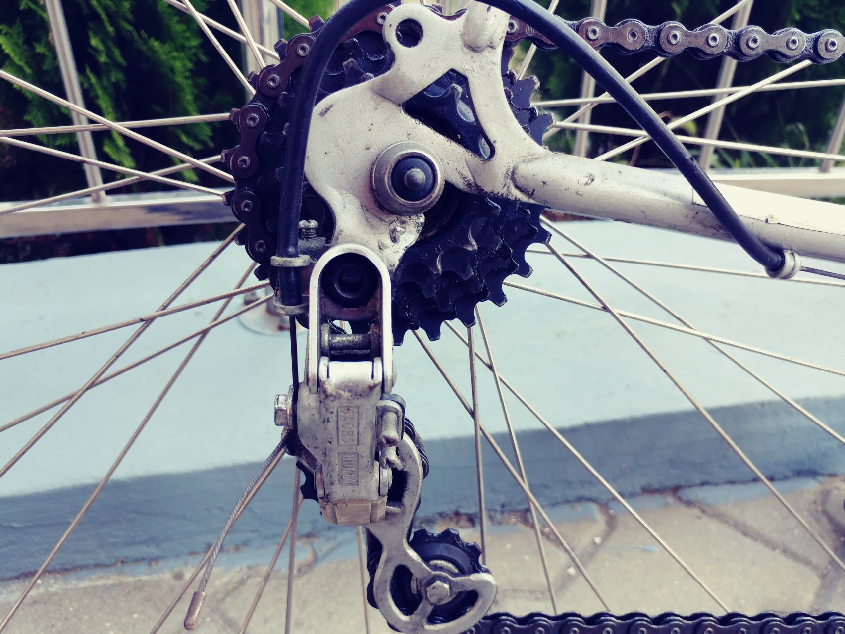 1. Cursiera Raleigh Pulsar