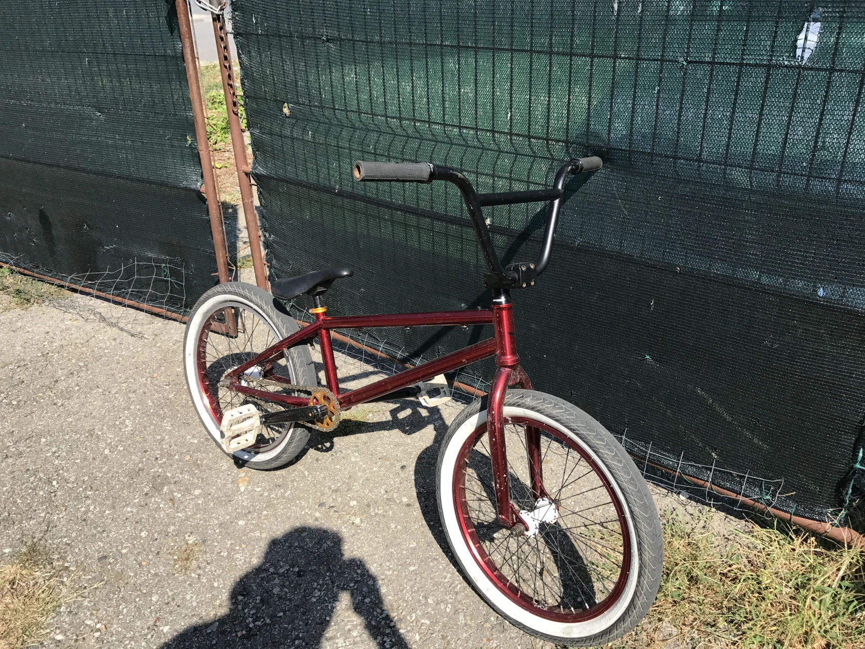 5. BMX Bulls