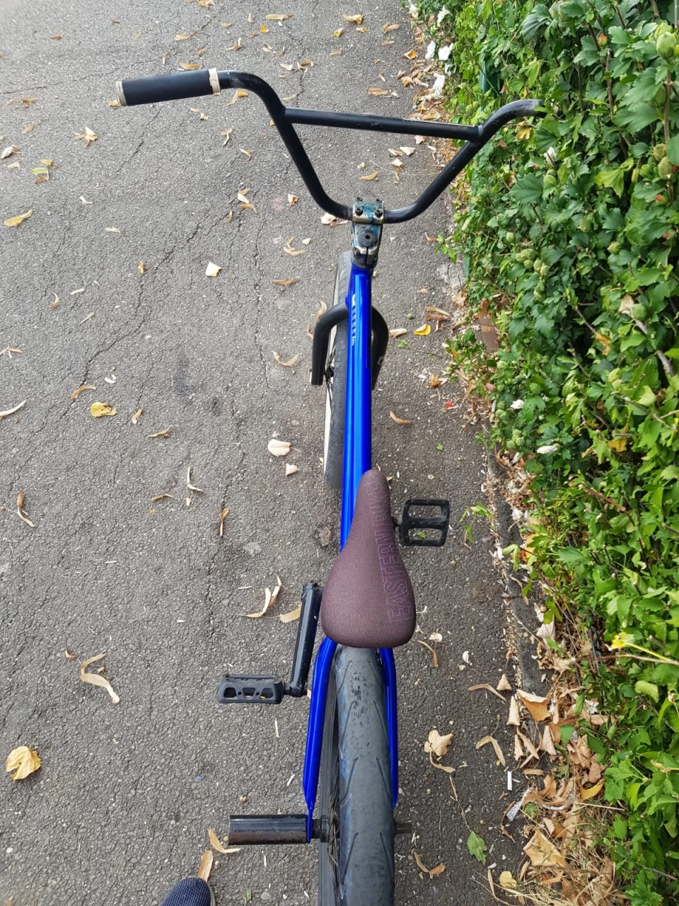 6. Vand bmx custom