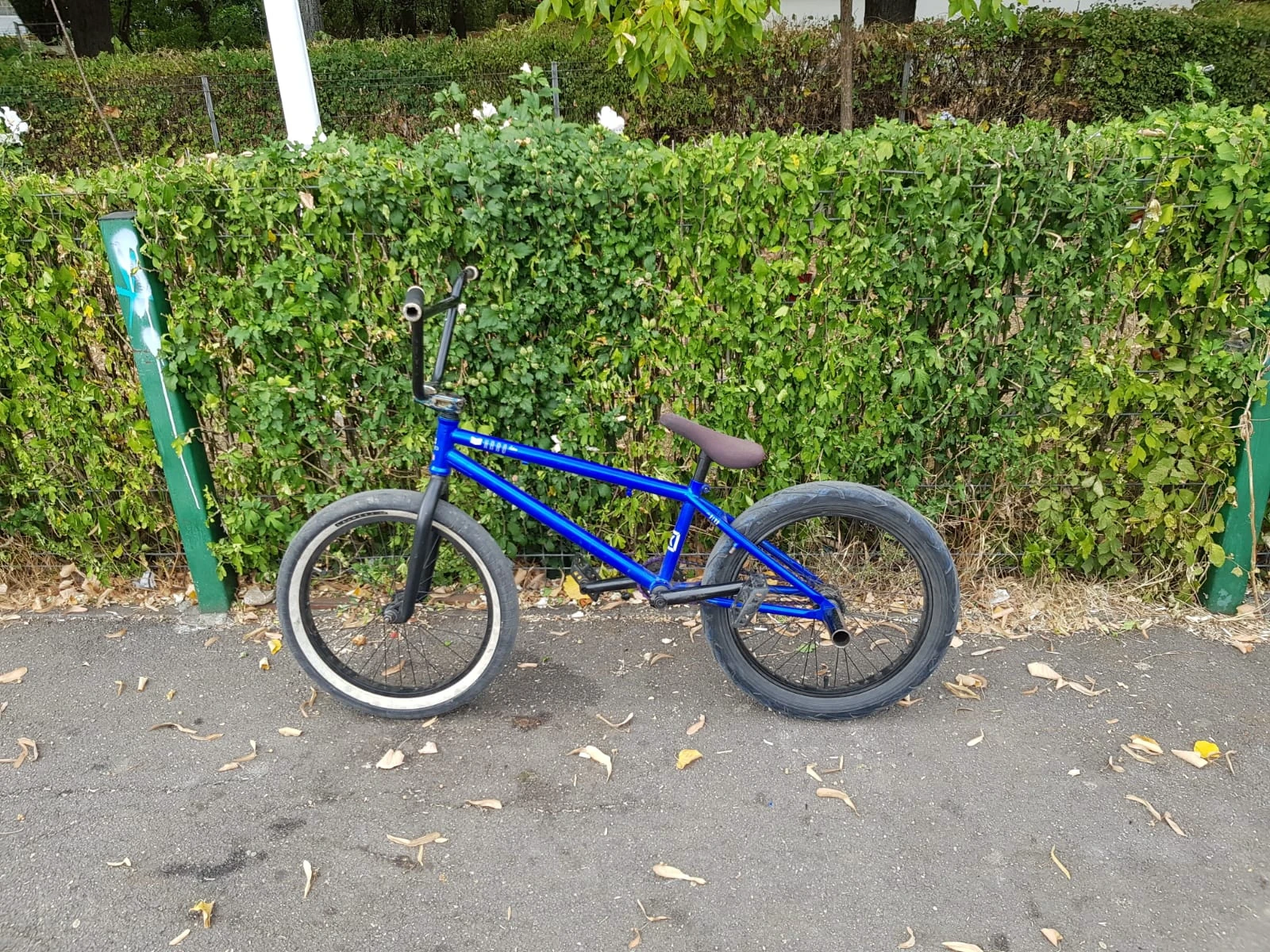 4. Vand bmx custom