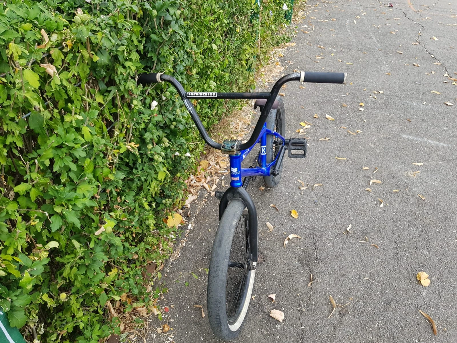 3. Vand bmx custom