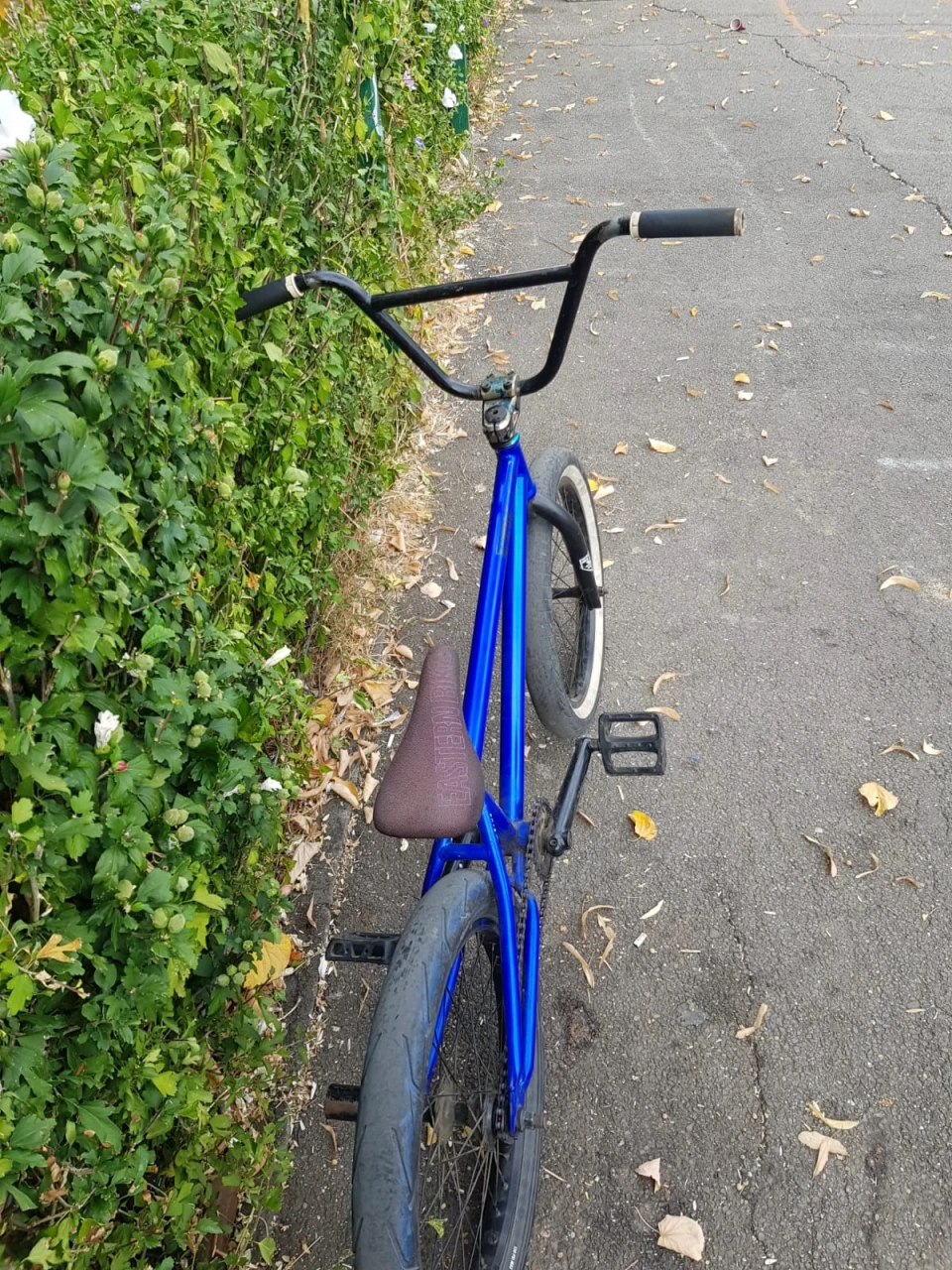2. Vand bmx custom