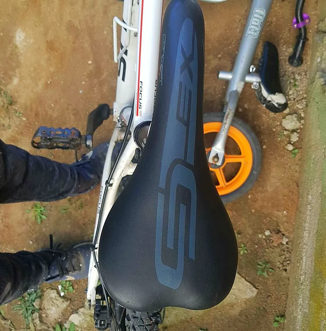 1. MTB Focus Fat Boy