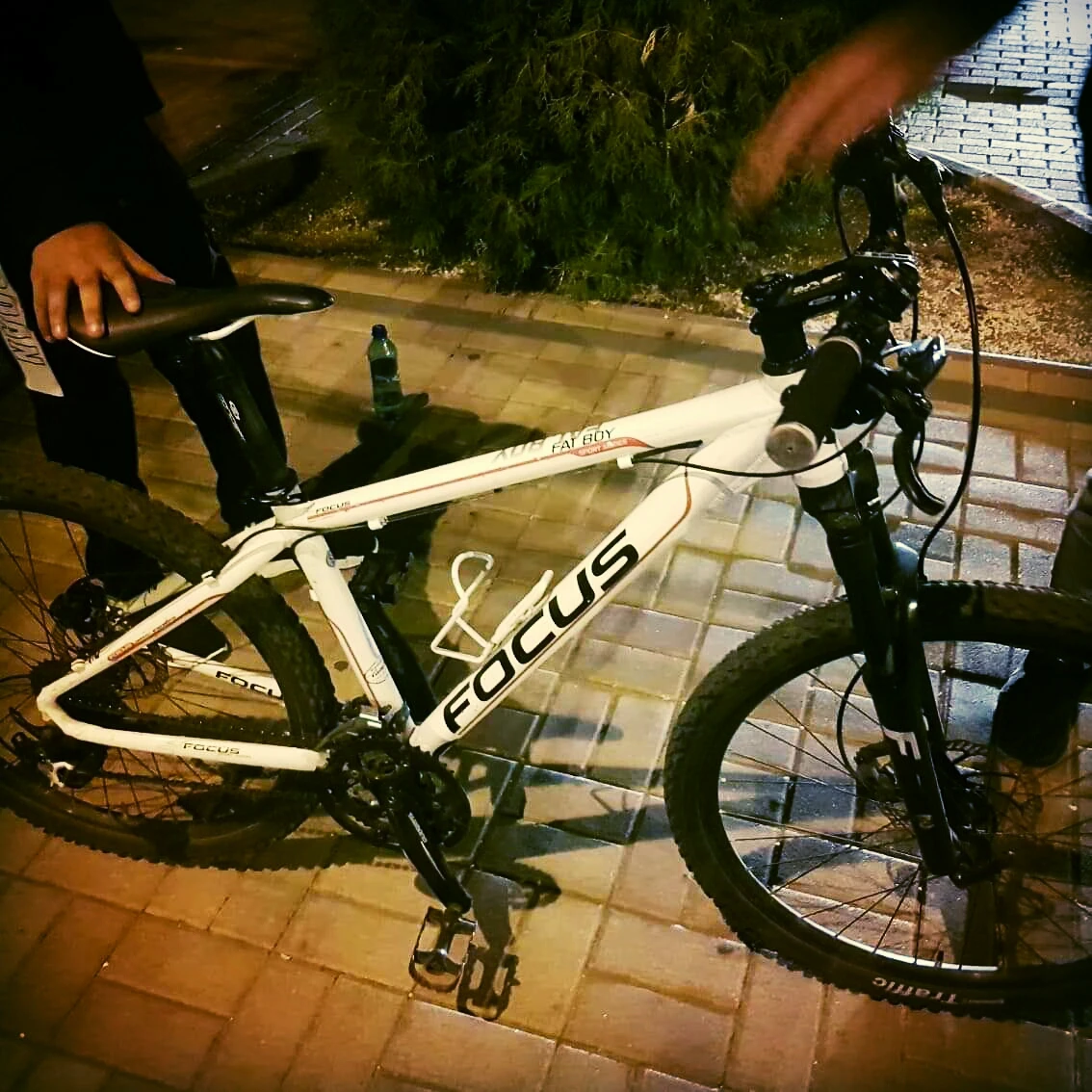 5. MTB Focus