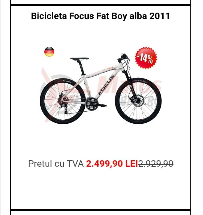 1. MTB Focus
